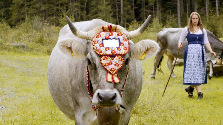 Die schönsten Almen der Steiermark