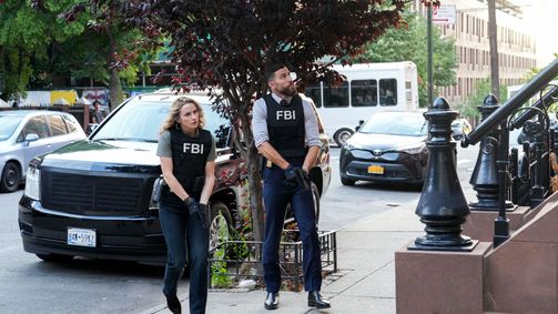 FBI: Special Crime Unit