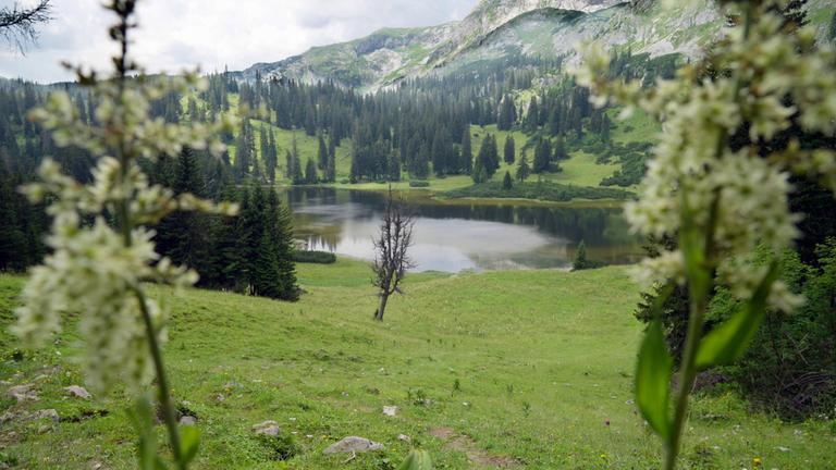 Die schönsten Bergseen der Steiermark