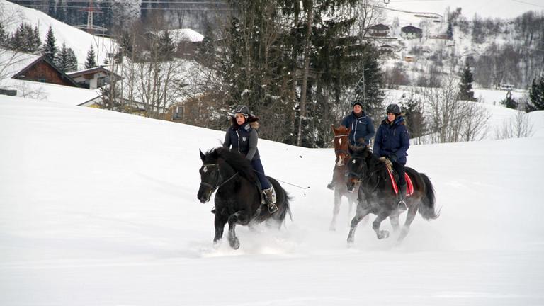 Winterfreuden - Winter auf dem Land