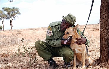 Kenias Spürhunde: Rettung für die Elefanten