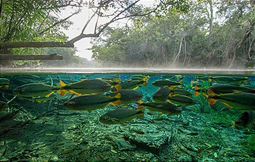 Unser Wasser - Faszinierende Wunderwelten