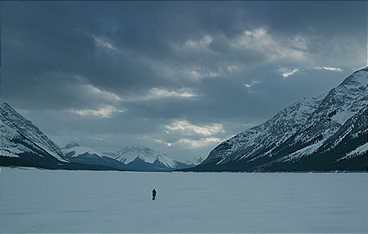 The Revenant - Der Rückkehrer