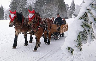 Lust auf Schnee