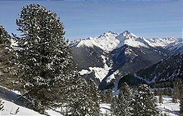 Winterzauber in den Ahrntaler Bergen