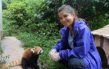 Anna und die wilden Tiere