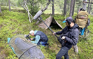 Das Camp in der Wildnis