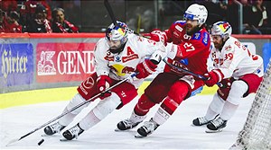 Eishockey Champions Hockey League LIVE bei ORF SPORT+