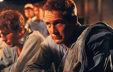 Paul Newman - Der unwiderstehliche Typ