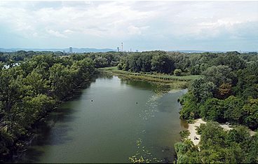 An der schönen blauen Donau - Wien und sein Fluss