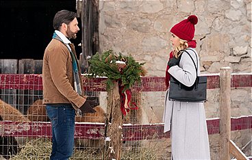 Weihnachten auf der Alpakafarm