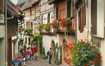 Das Elsass - Eine kulinarische Reise durch das Jahr