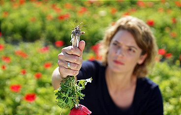 Invasive Pilze - Lena Ganschow und die neue Bedrohung