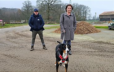 Der Hundeprofi - Rütters Team