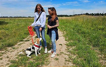 Der Hundeprofi - Rütters Team