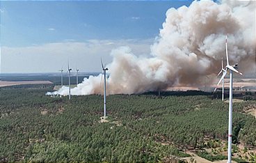 Deutschlands Wald im Wandel